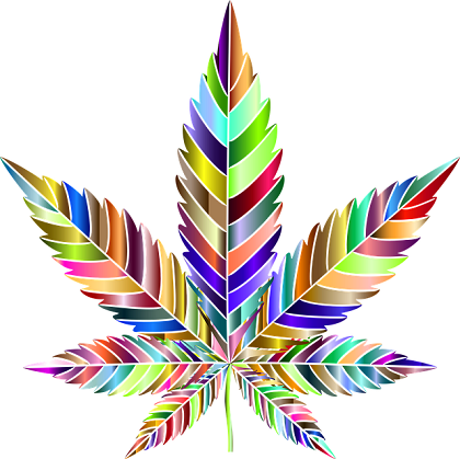 La différence entre les variétés de cannabis sativa, indica et hybrides